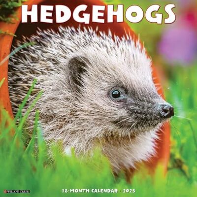 Willow Creek Press Hedgehogs 2025 Wall Willow Creek Press Hedgehogs 2025 Wall