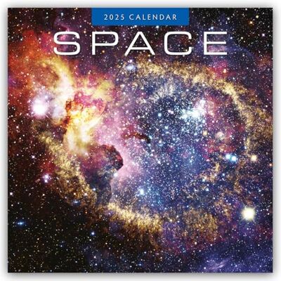 Red Robin Space 2025 Square Wall Calendar Red Robin Space 2025 Square Wall Calendar