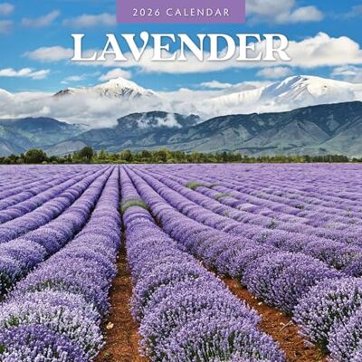 Red Robin Lavender 2026 Square Wall Calendar Red Robin Lavender 2026 Square Wall Calendar