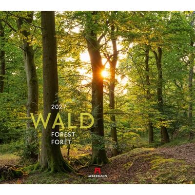 Ackermann Kunstverlag GmbH Wald Kalender 2027: Hochwertiger Natur-Kalender im großen Querformat (54x48 cm) Bäume und Pflanzenwelt im Wandel der Jahreszeiten Ackermann Kunstverlag GmbH Wald Kalender 2027: Hochwertiger Natur-Kalender im großen Querformat (54x48 cm) Bäume und Pflanzenwelt im Wandel der Jahreszeiten