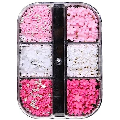 Vdaxvme 6 Grid Resin Nail Art Decorations 3D Pieces Gemstones Mixed Size Charms Nails Steel Beads Art Accessories Flowers Charms for Women Vdaxvme 6 Grid Resin Nail Art Decorations 3D Pieces Gemstones Mixed Size Charms Nails Steel Beads Art Accessories Flowers Charms for Women