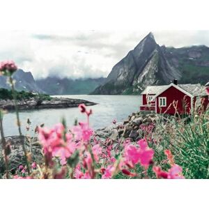Ravensburger 12000112 Lofoten, Norway 1000 pieces jigsaw puzzle – Puzzle for adults and kids age 14 years up, jigsaw puzzles Norway Ravensburger 12000112 Lofoten, Norway 1000 pieces jigsaw puzzle – Puzzle for adults and kids age 14 years up, jigsaw puzzles Norway