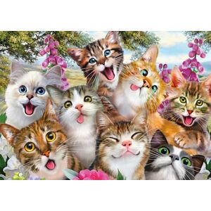 Schmidt 58391 Jigsaw Puzzle Cat Selfie (500 pcs), Bundle Schmidt 58391 Jigsaw Puzzle Cat Selfie (500 pcs), Bundle