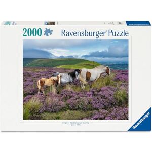 Ravensburger Wild Horses in the Heather 2000 Piece Jigsaw Puzzle – Premium Large Adult Puzzle with Countryside Horse Scene – Relaxing & Challenging for Adults Ravensburger Wild Horses in the Heather 2000 Piece Jigsaw Puzzle – Premium Large Adult Puzzle with Countryside Horse Scene – Relaxing & Challenging for Adults