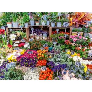 Ravensburger 500 Piece Jigsaw Puzzle – Flower Market, France Colourful Market Scene Premium Quality Puzzle for Adults & Teens Ravensburger 500 Piece Jigsaw Puzzle – Flower Market, France Colourful Market Scene Premium Quality Puzzle for Adults & Teens