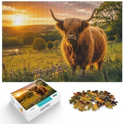 LMYmoney 1000pcs (52x38cm), Classic Jigsaw Puzzle, 1000 Pieces, Highland Cow Portrait in Green Field LMYmoney 1000pcs (52x38cm), Classic Jigsaw Puzzle, 1000 Pieces, Highland Cow Portrait in Green Field