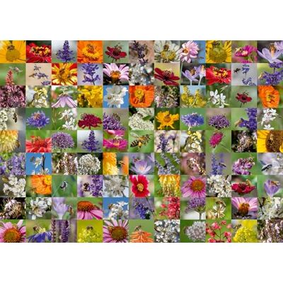 Ravensburger Bee Collage 1000 Piece Jigsaw Puzzles for Adults and Kids Age 12 Years Up Ravensburger Bee Collage 1000 Piece Jigsaw Puzzles for Adults and Kids Age 12 Years Up