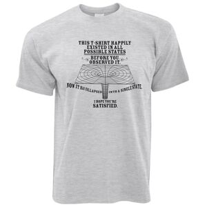 Tim And Ted (M, Grey) Physics T Shirt Quantum Observer All Possible States Science Geek Nerd