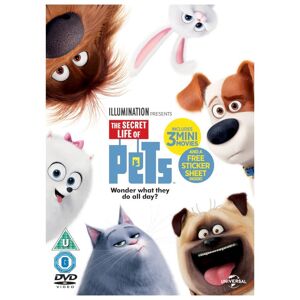Universal Pictures The Secret Life of Pets DVD   2016