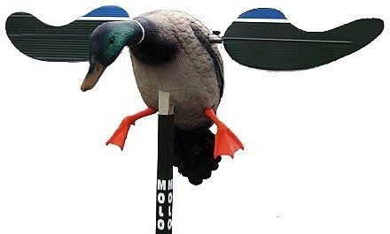 MOJO Baby Mallard Decoy