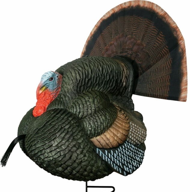 Primos Hunting Lil Gobbstopper Strutter Turkey Box Calls, 69076