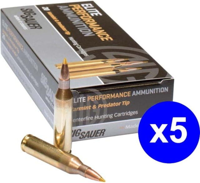 SIG SAUER SIG Hunting Rifle Ammunition .30-06 Springfield 165 grain Controlled Expansion Tip Brass Cased Centerfire Rifle Ammo