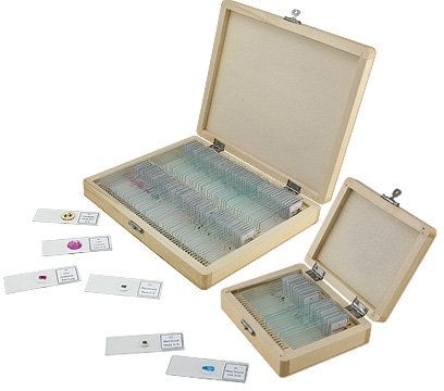 Photos - Other optics Celestron 25 Piece Prepared Microscope Slides Set 44410 