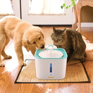 DailySale 2.5L Super Quiet Cat Water Fountain Bowl Pet Drinking Dispenser