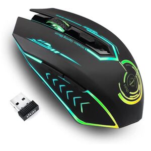 DailySale Rechargeable USB Wireless Gaming Mouse
