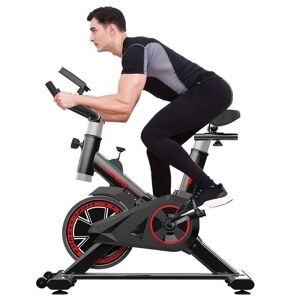 DailySale Indoor Cycling Stationary Bike Belt Drive with LCD Monitor