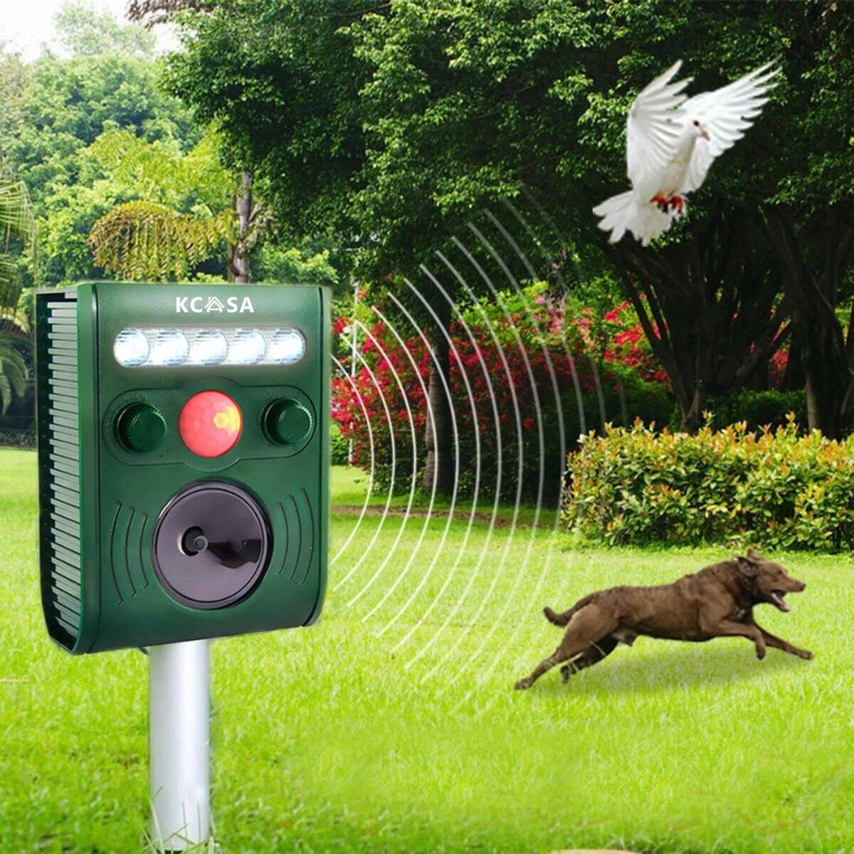 DailySale Garden Ultrasonic PIR Sensor Solar Animal Dispeller
