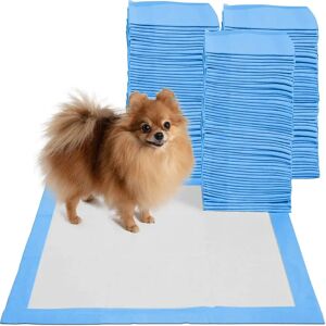 DailySale 150-Pack: Puppy Pads Dog Pee Pad for Potty Training Dogs & Cats