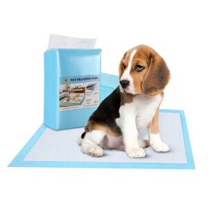 DailySale 30-Piece: Ownpets Pet Dog Training Pads