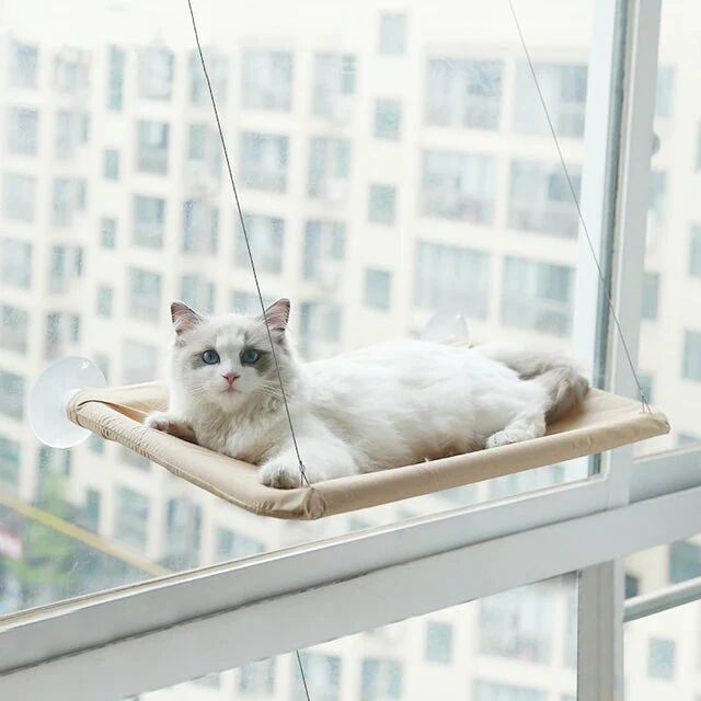 DailySale 360 Cat Window Hammock: A Space-Saving Sunny Seat for Indoor Cats!