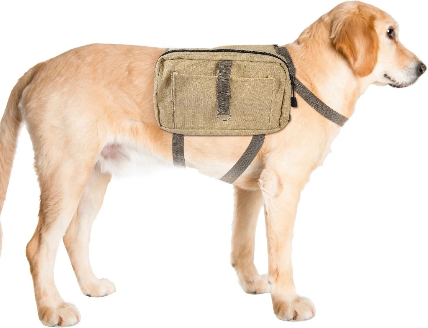 DailySale Pet Dog Backpack Hound Hiking Camping Saddle Bag