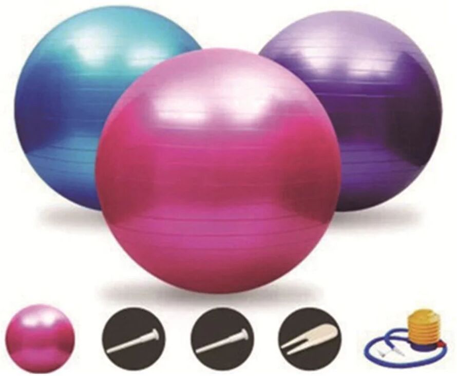 DailySale Non-Slip Yoga Stability Ball