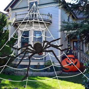 DailySale 200" Halloween Spider Web and 59" Giant Spider Decoration