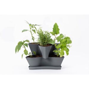 Bloem Collins 10.6 in. H X 16 in. W X 14.5 in. D Resin 2 Level Planter Charcoal