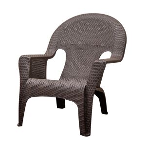 Ace Hardware Adams Brown Polypropylene Frame Woven Lounge Chair