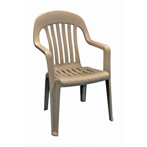 Ace Hardware Adams Portobello Polypropylene Frame High-Back Chair