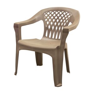 Ace Hardware Adams Big Easy Portobello Polypropylene Frame Stackable Chair