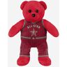 FOCO LeBron James Los Angeles Lakers 2024 All Star Team Beans Embroidered Player Bear -