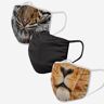 FOCO Jungle 3 Pack Face Cover - Unisex