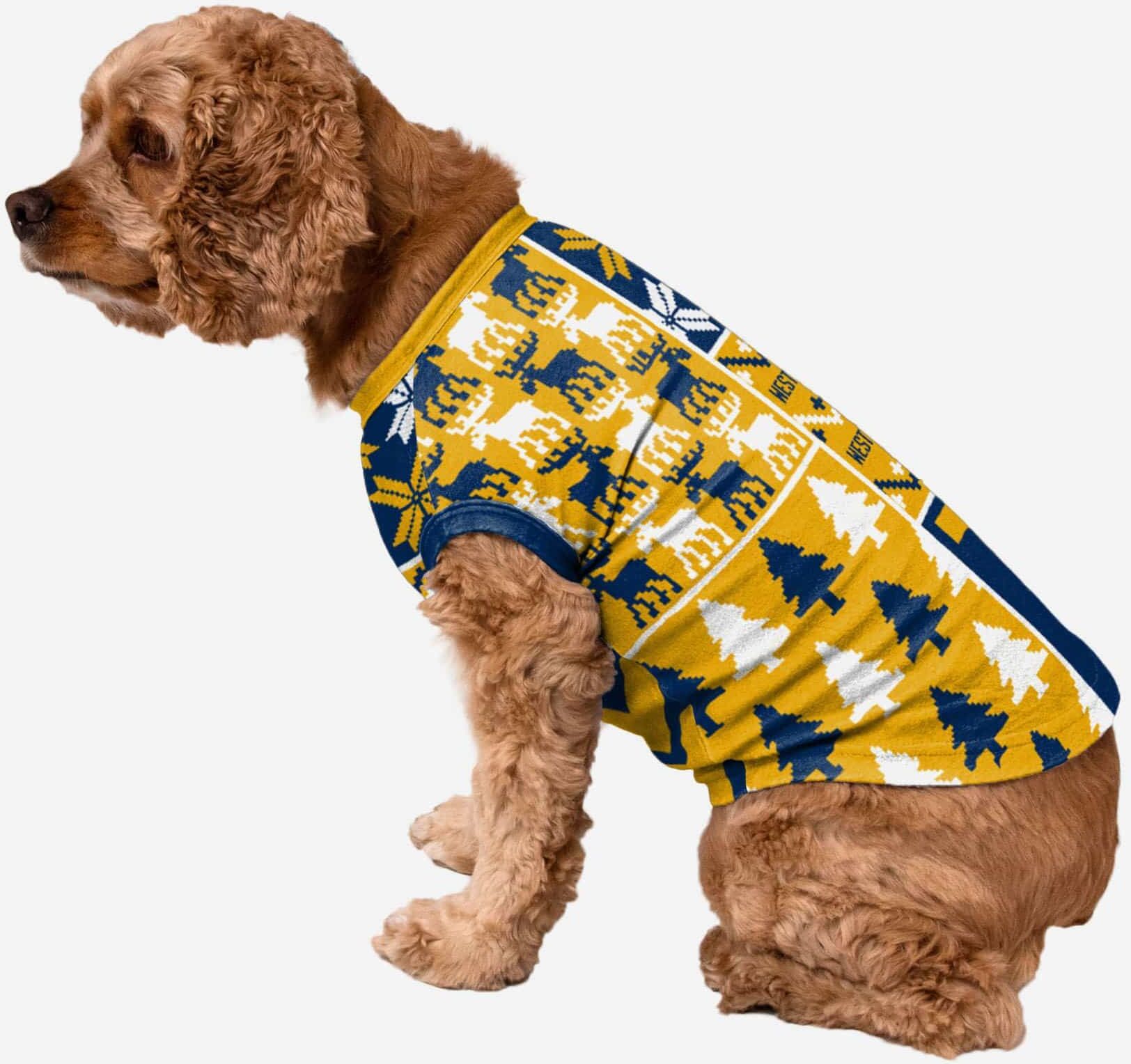 FOCO West Virginia Mountaineers Busy Block Dog Sweater - S -