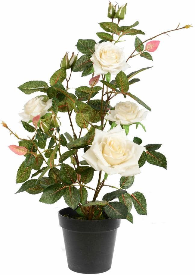 Vickerman 21 in. Artificial White Rose Plant in Pot.