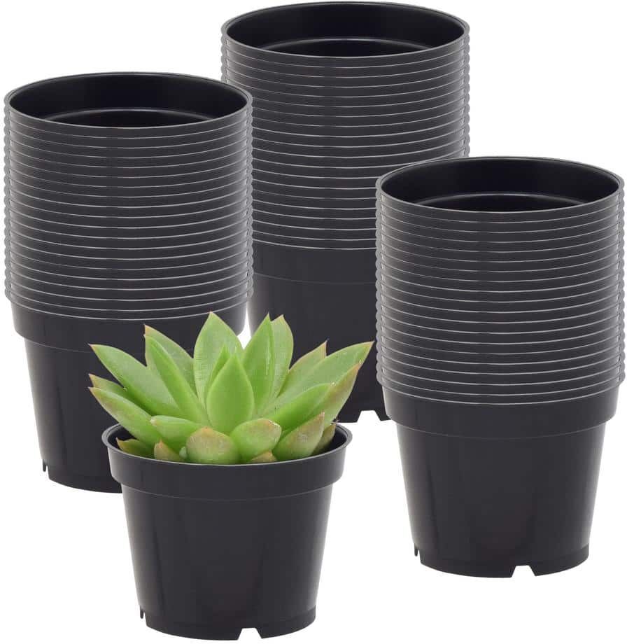 Arcadia Garden Products 2 in. Black Plastic Standard Grow Pot (250-Pack)