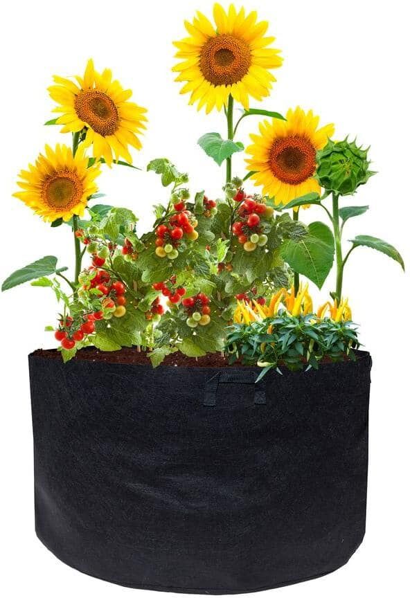 Viagrow 25 Gal. Plastic Mini Raised Garden Bed with Handles