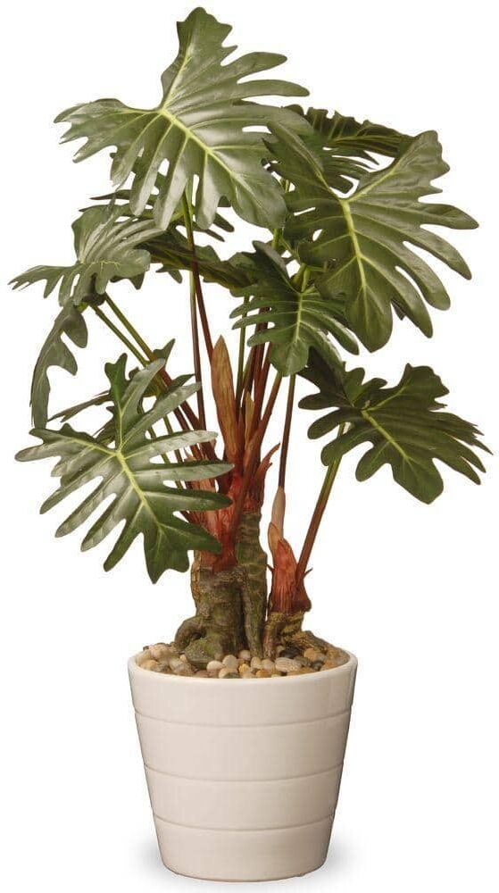 National Tree Company 21 in. Artificial Garden Accents Philodendron Flower