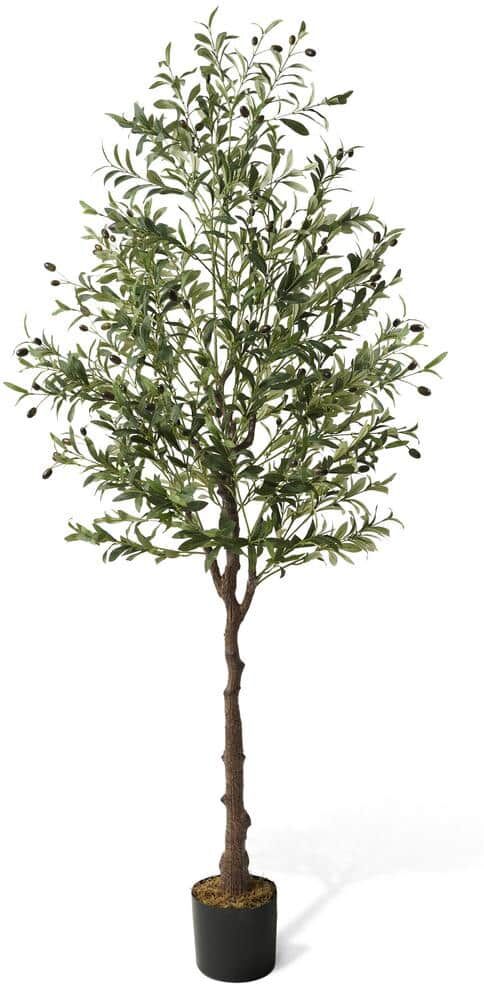 CAPHAUS 6 ft. Green Olive Artificial Tree, Faux Plant in Pot, Faux Olive Branch and Fruit with Dried Moss for Indoor Home Office