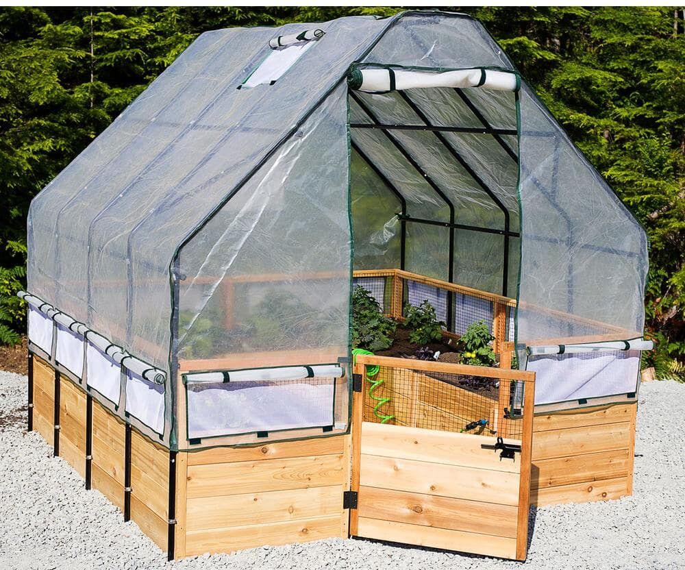 Outdoor Living Today 8 ft. x 8 ft. Garden in a Box with Greenhouse Cover