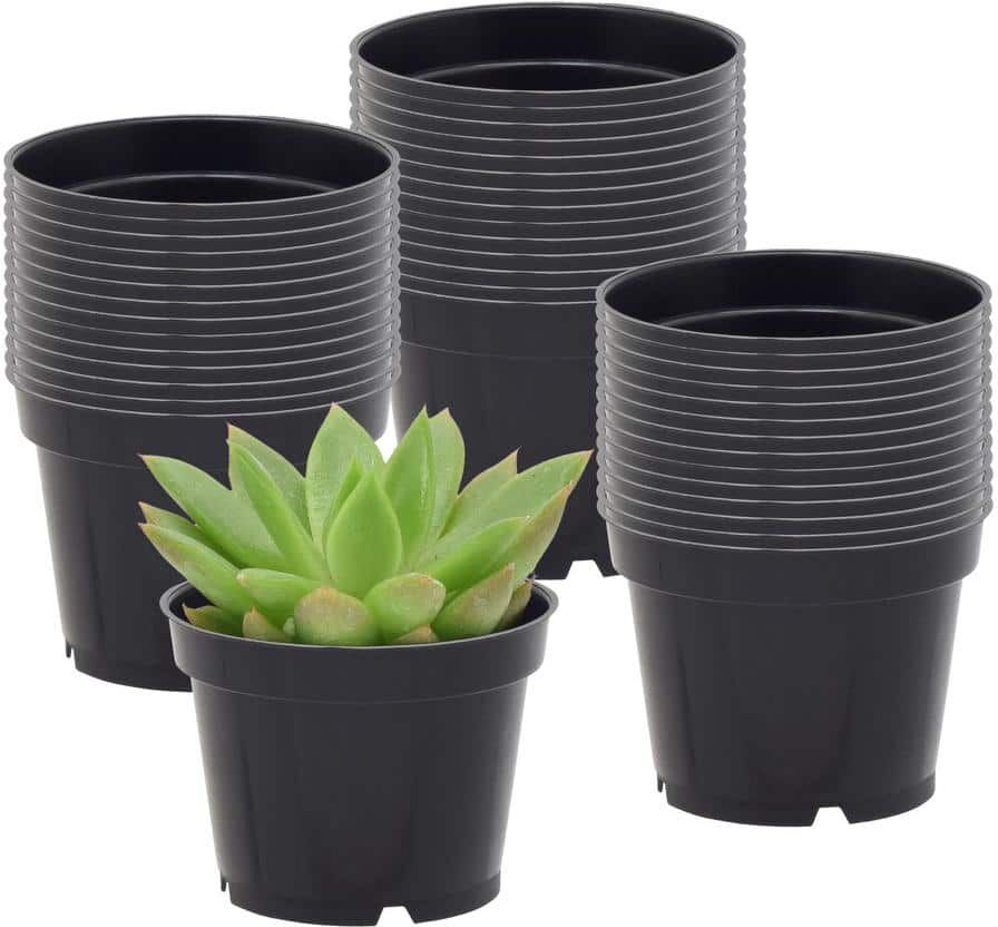 Arcadia Garden Products 2 in. Black Plastic Standard Grow Pot (100-Pack)