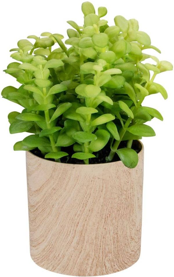 Northlight 10 in. Green Artificial Privet Plant in Faux Wood Pot