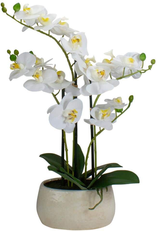 Northlight 22 in. Artificial White and Yellow Orchid Plant With a White Oval Pot Tabletop Decor