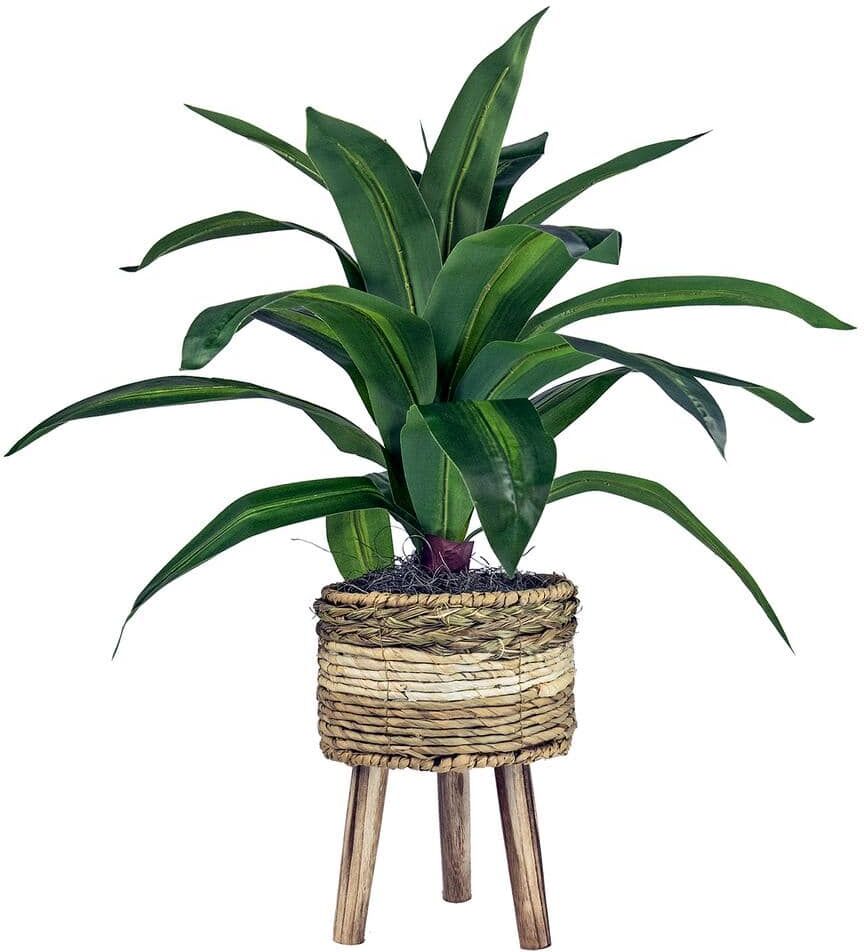 LCG SALES INC 24 in. Artificial Dracaena in Tri-Color Basket Stand