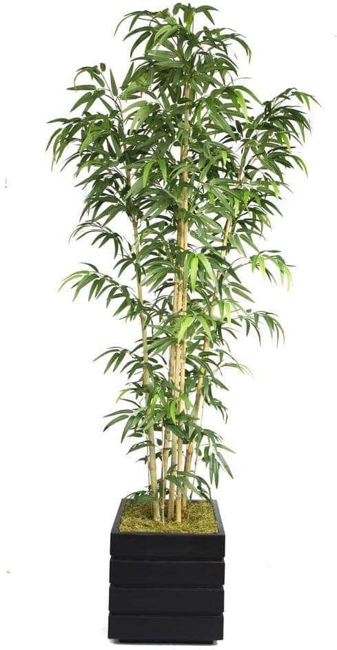 VINTAGE HOME 78 in. Tall Natural Bamboo Tree in 14 in. Fiberstone Planter