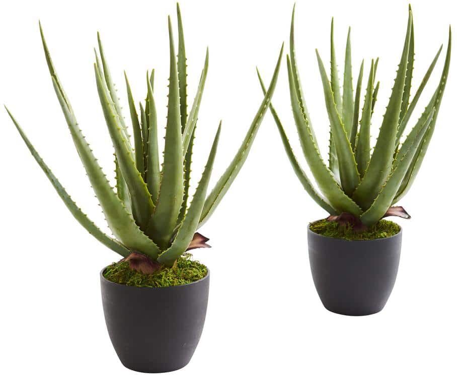 Nearly Natural Indoor Aloe Artificial Plant (Set of 2)