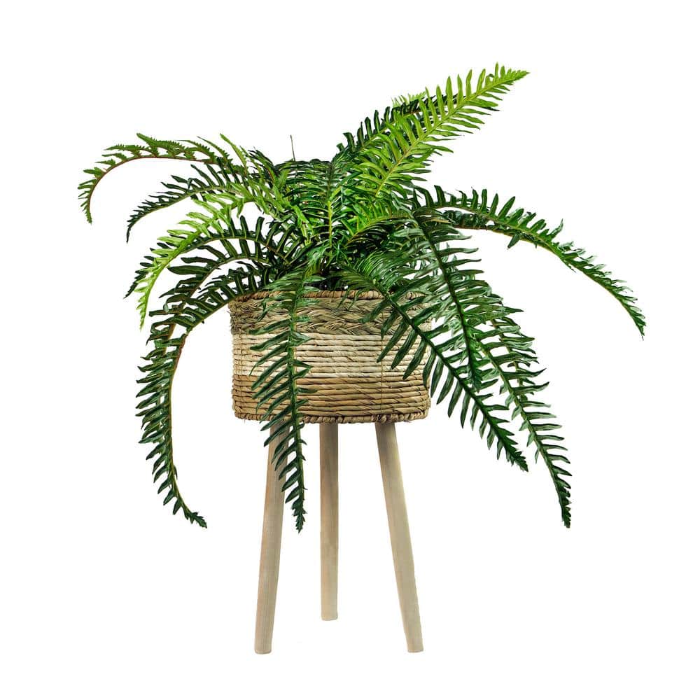 LCG SALES INC 38 in. Artificial River Fern in Tri-Color Basket Stand