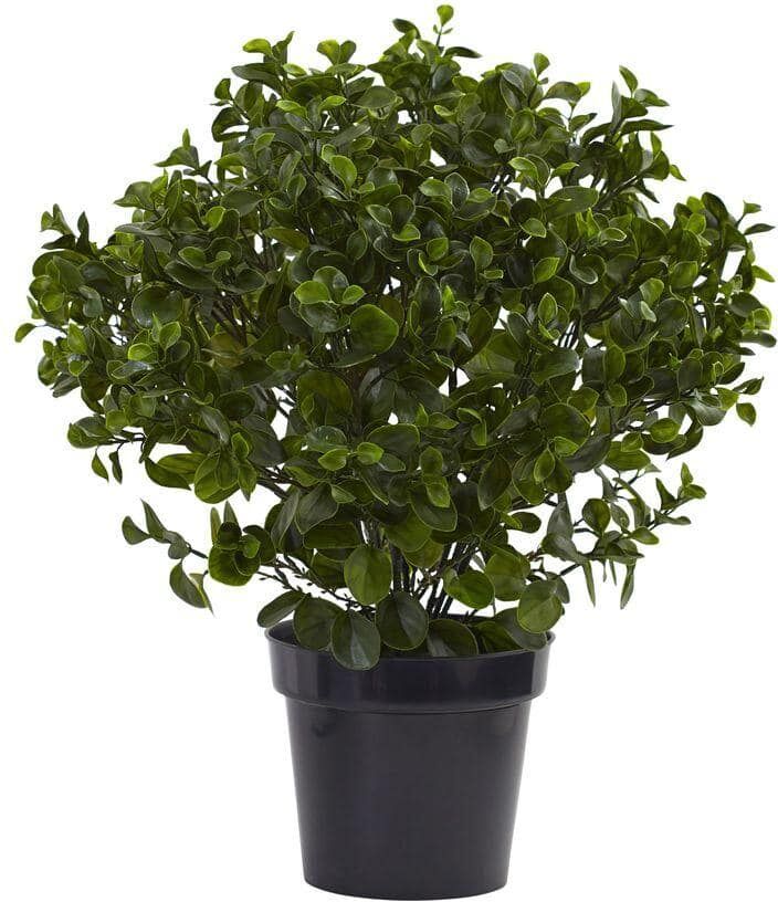 Nearly Natural 28 in. Artificial UV Resistant Indoor/Outdoor Peperomia Plant