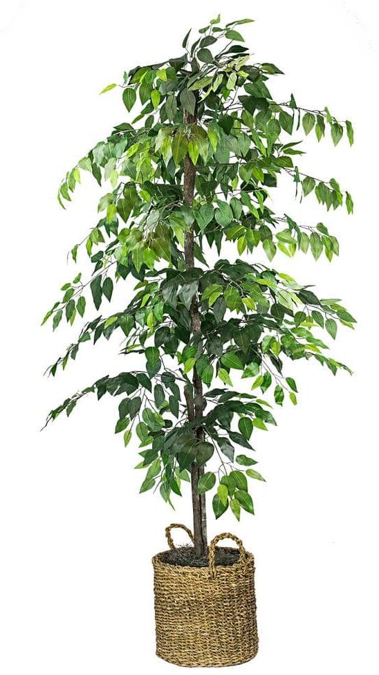 LCG SALES INC Artificial 6-foot Ficus Tree in Basket