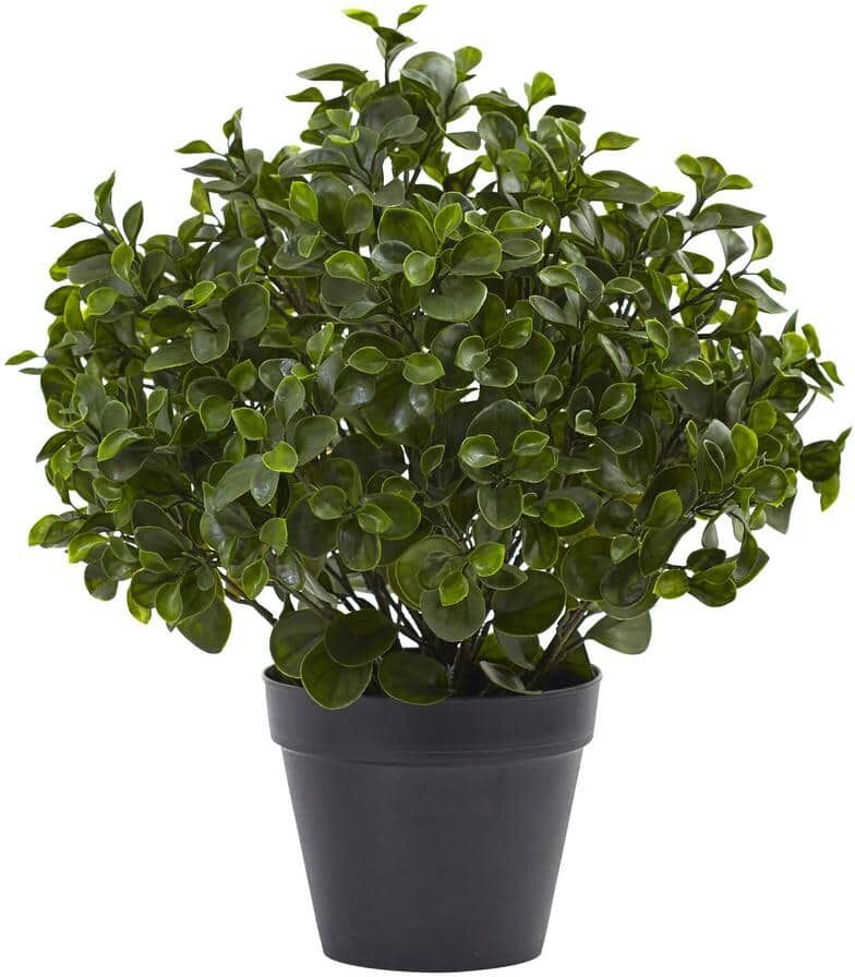 Nearly Natural Indoor/Outdoor 23 in. Artificial Peperomia Plant UV Resistant